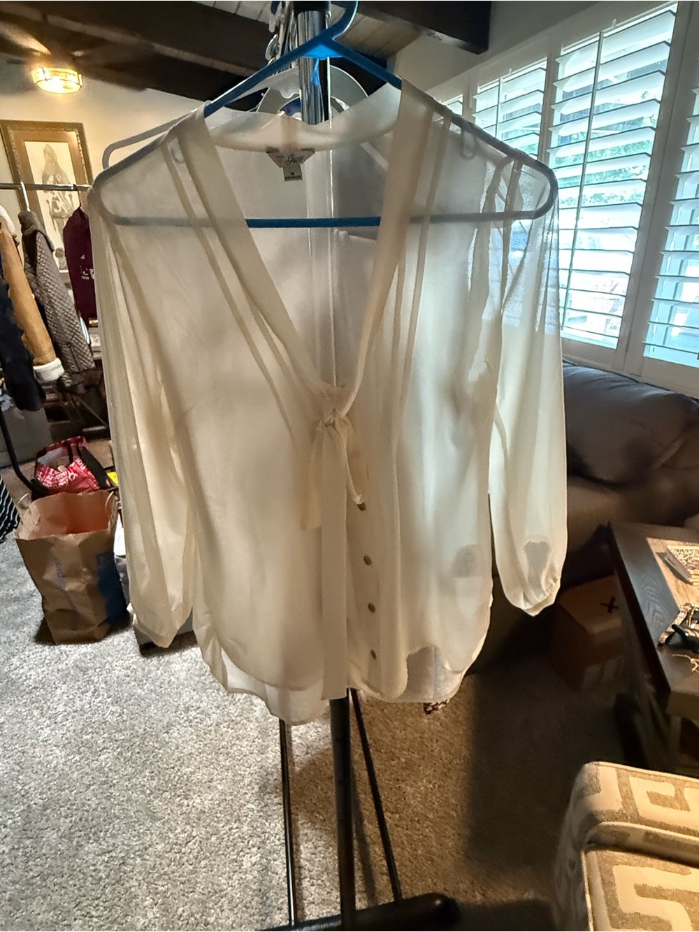 Guess NWOT M Ivory Sheer Tie-Neck Blouse
